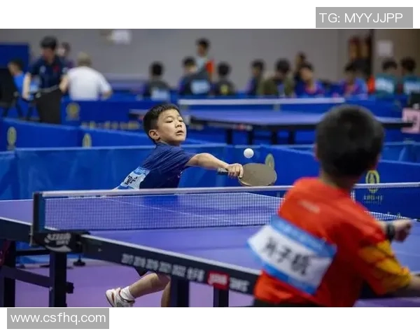 武汉乒乓球队灵活性分析与表现评估的深度研究与探讨