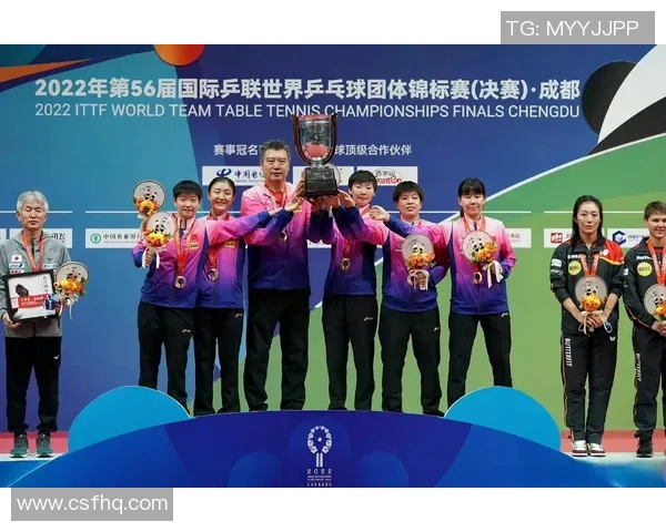 武汉乒乓球队总决赛表现分析：个人能力与团队协作的完美结合