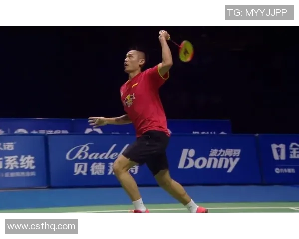 2017年羽毛球世锦赛林丹与谌龙巅峰对决精彩回顾与赛后分析